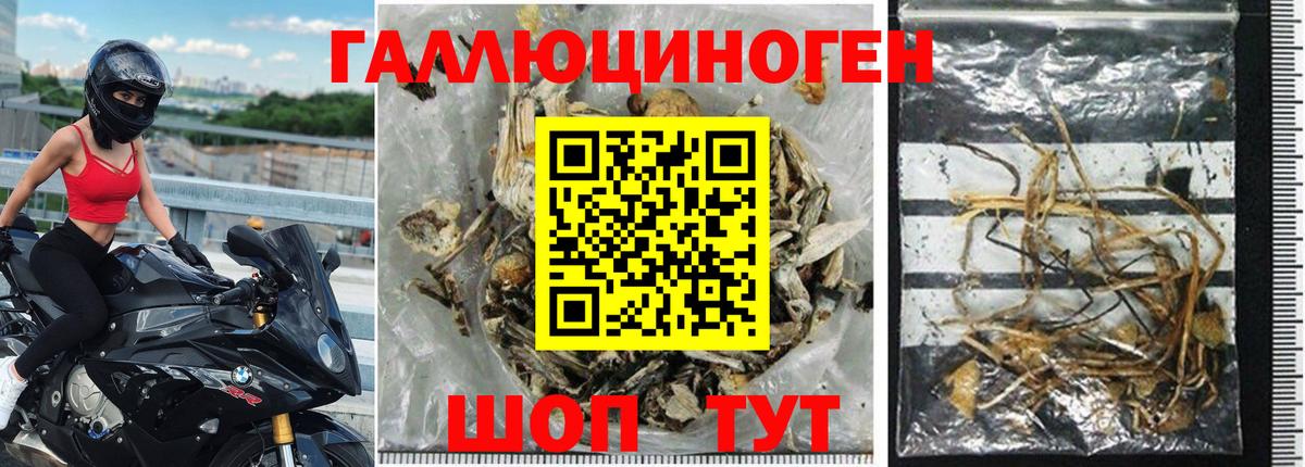 Галлюциногенные грибы ЛСД  Галлюциногенные грибы MAGIC MUSHROOMS  Кисловодск  Вход с VPN 