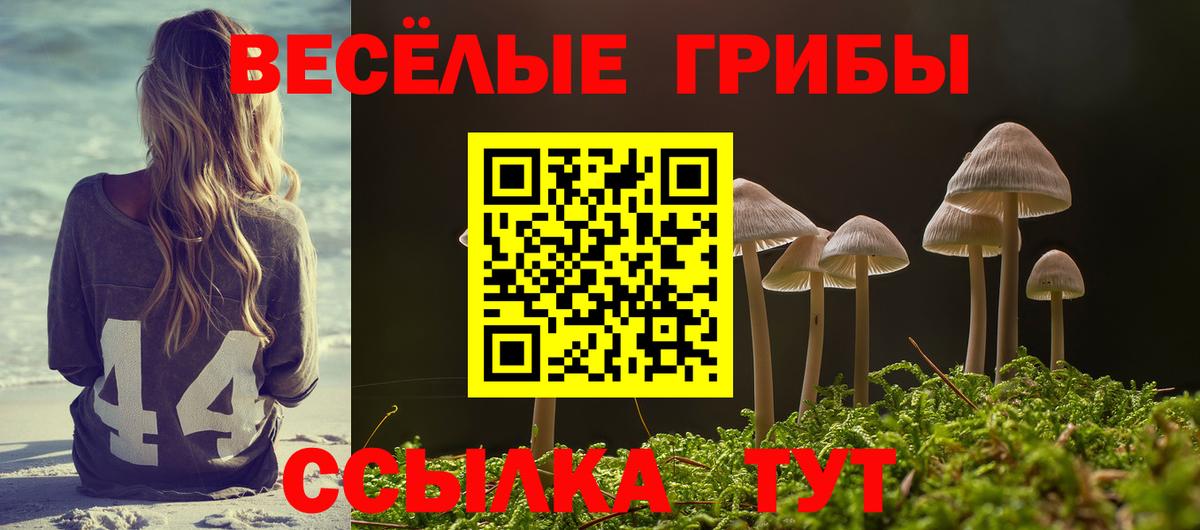 Галлюциногенные грибы Magic Shrooms Кисловодск